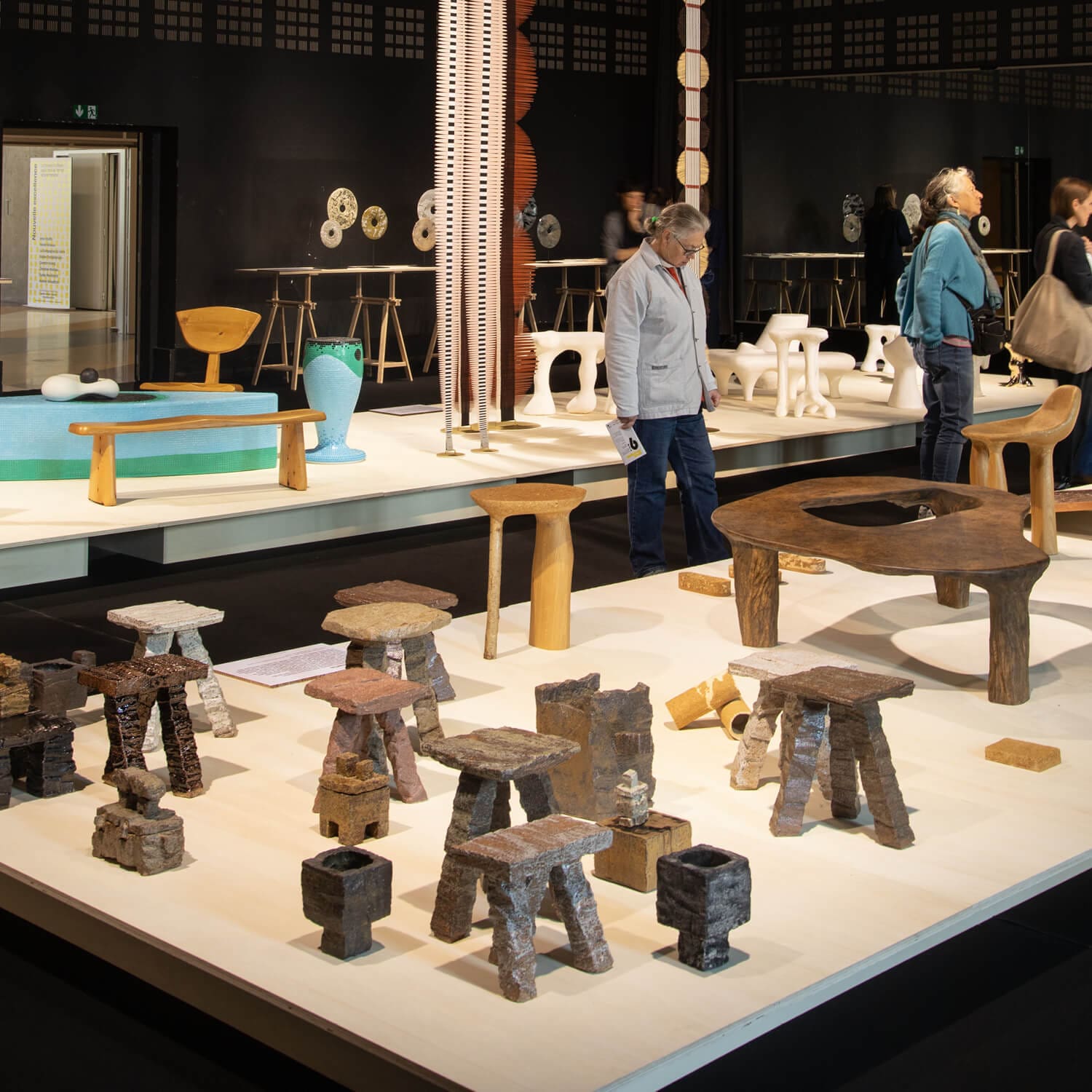Biennale emergence 2025-NATURE CRUE-ichetkar-21