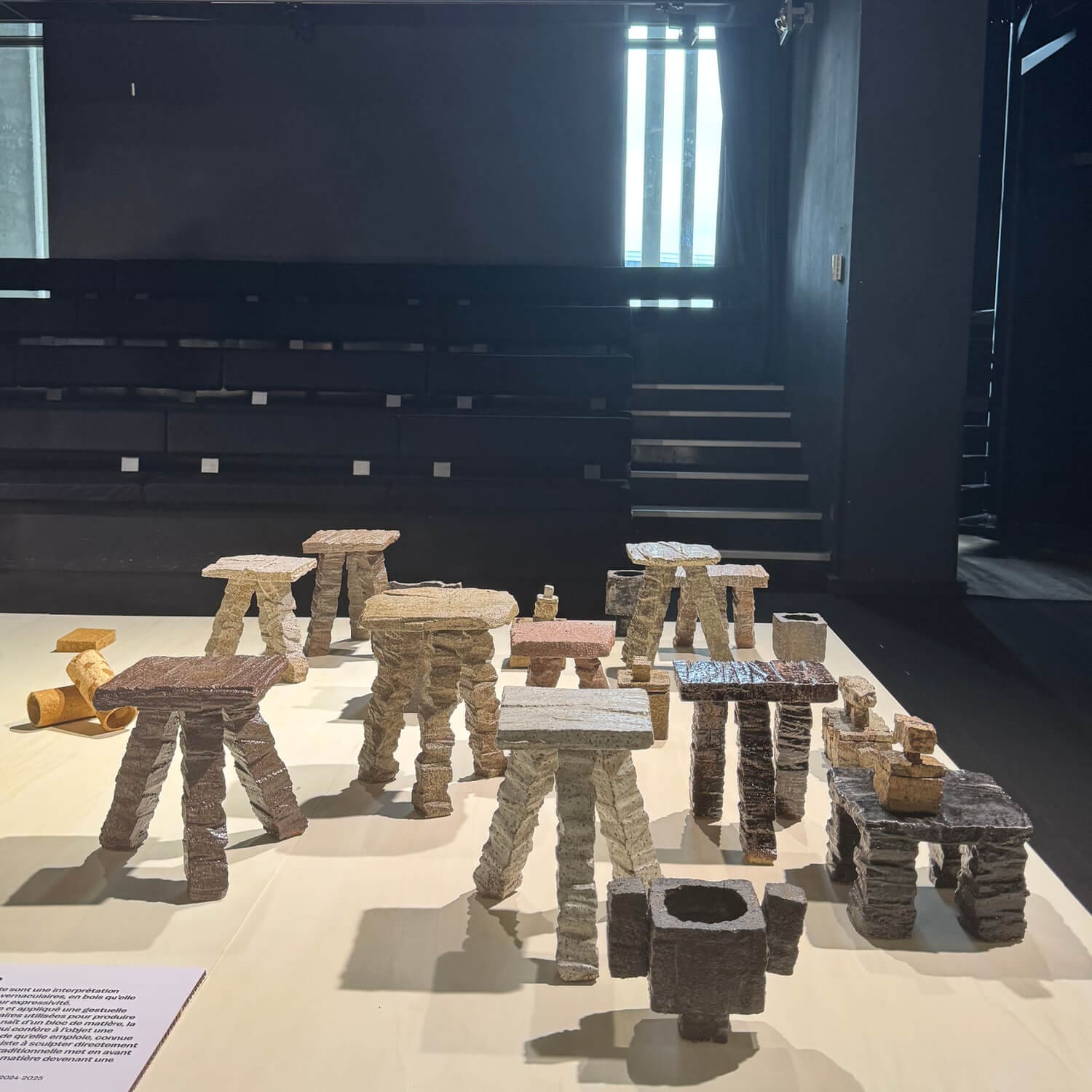 Biennale emergence 2025-NATURE CRUE-ichetkar-22
