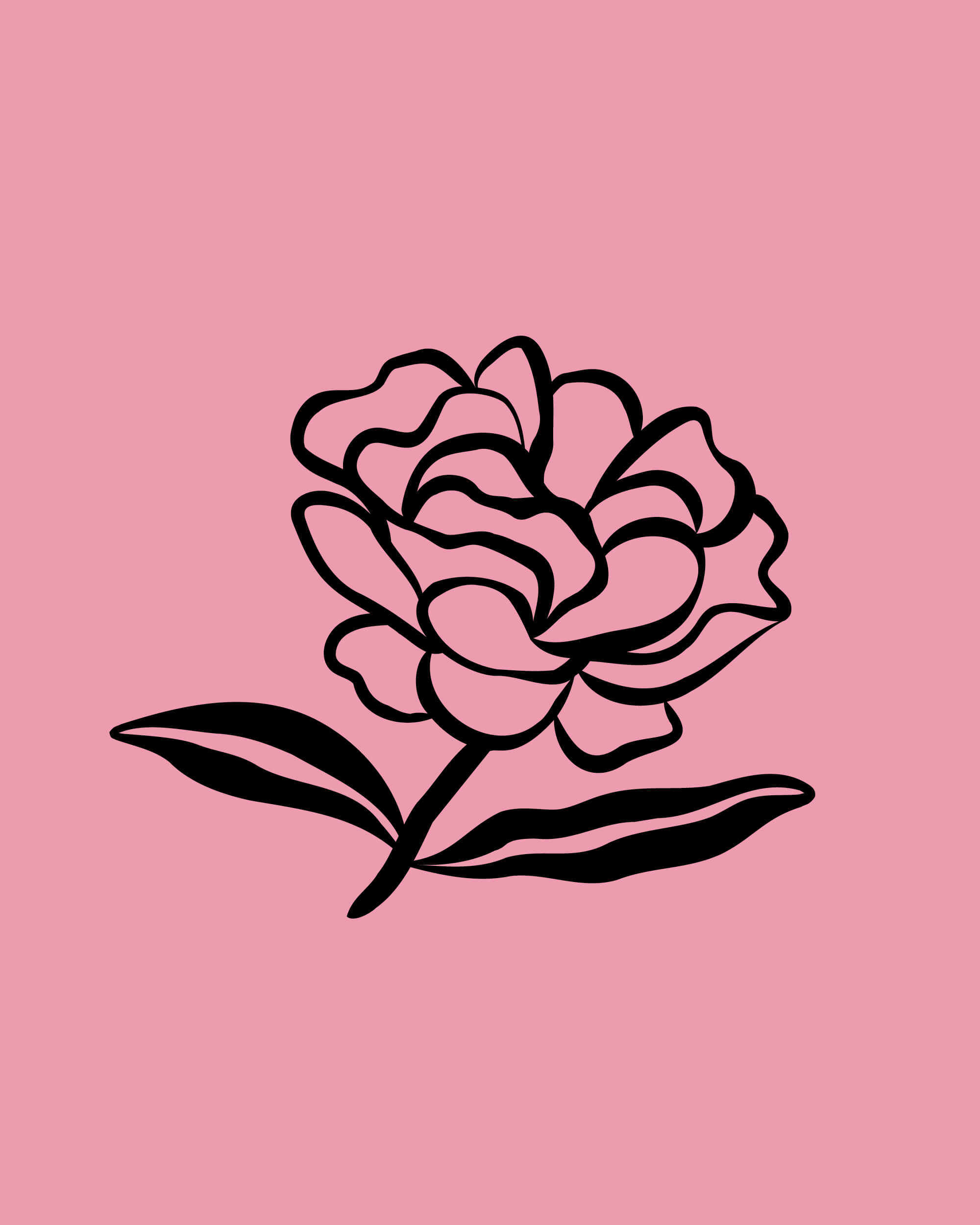 rebranding-l-occitane-ornement-ingredients-4-5-29