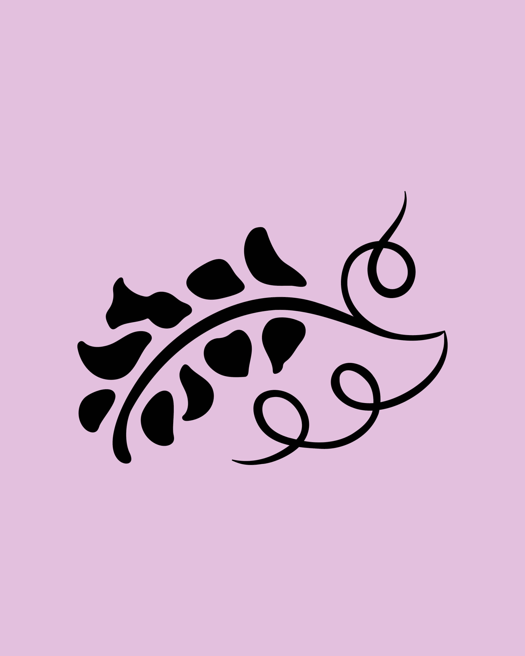 rebranding-l-occitane-ornement-ingredients-4-5-30