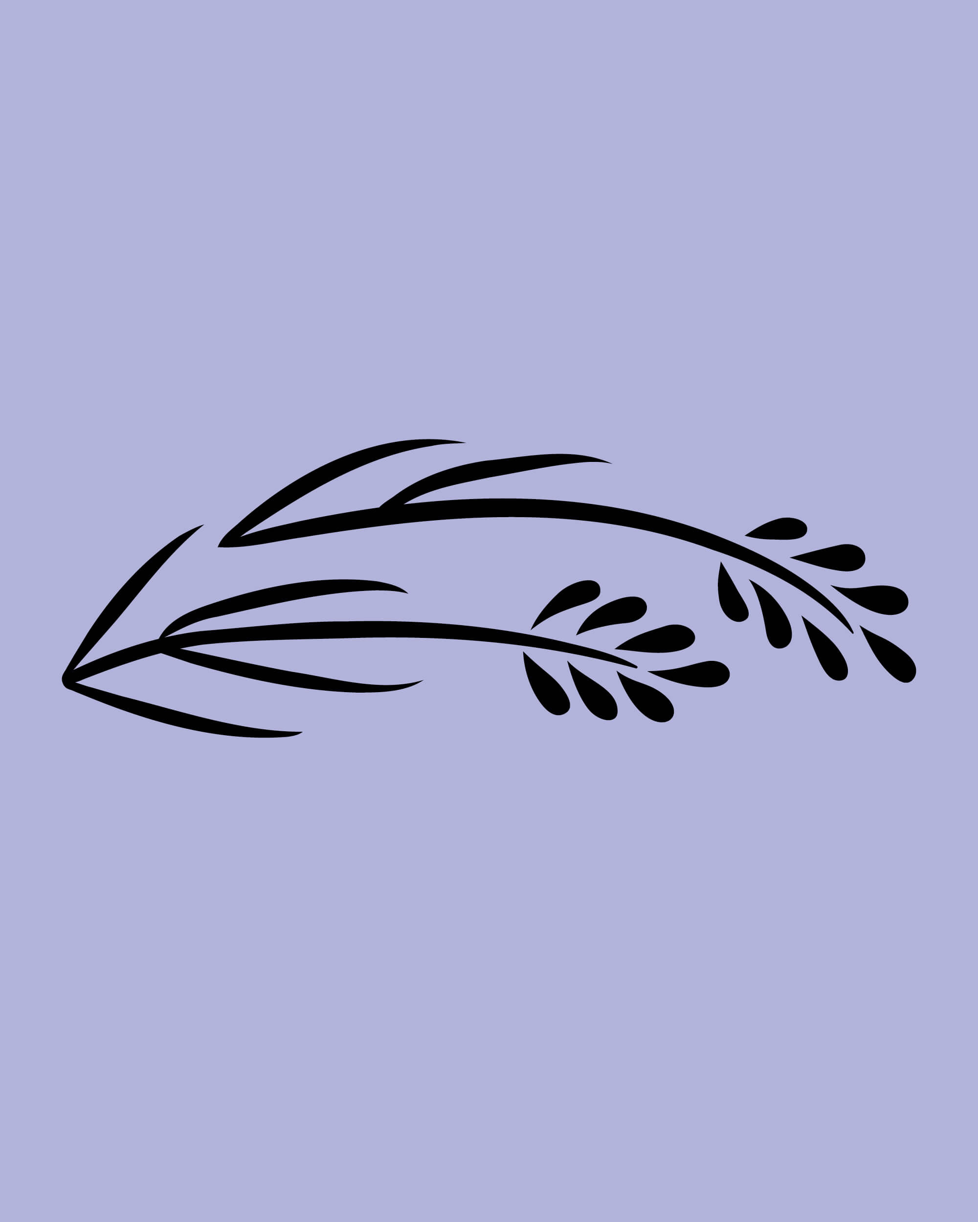 rebranding-l-occitane-ornement-ingredients-4-5-32