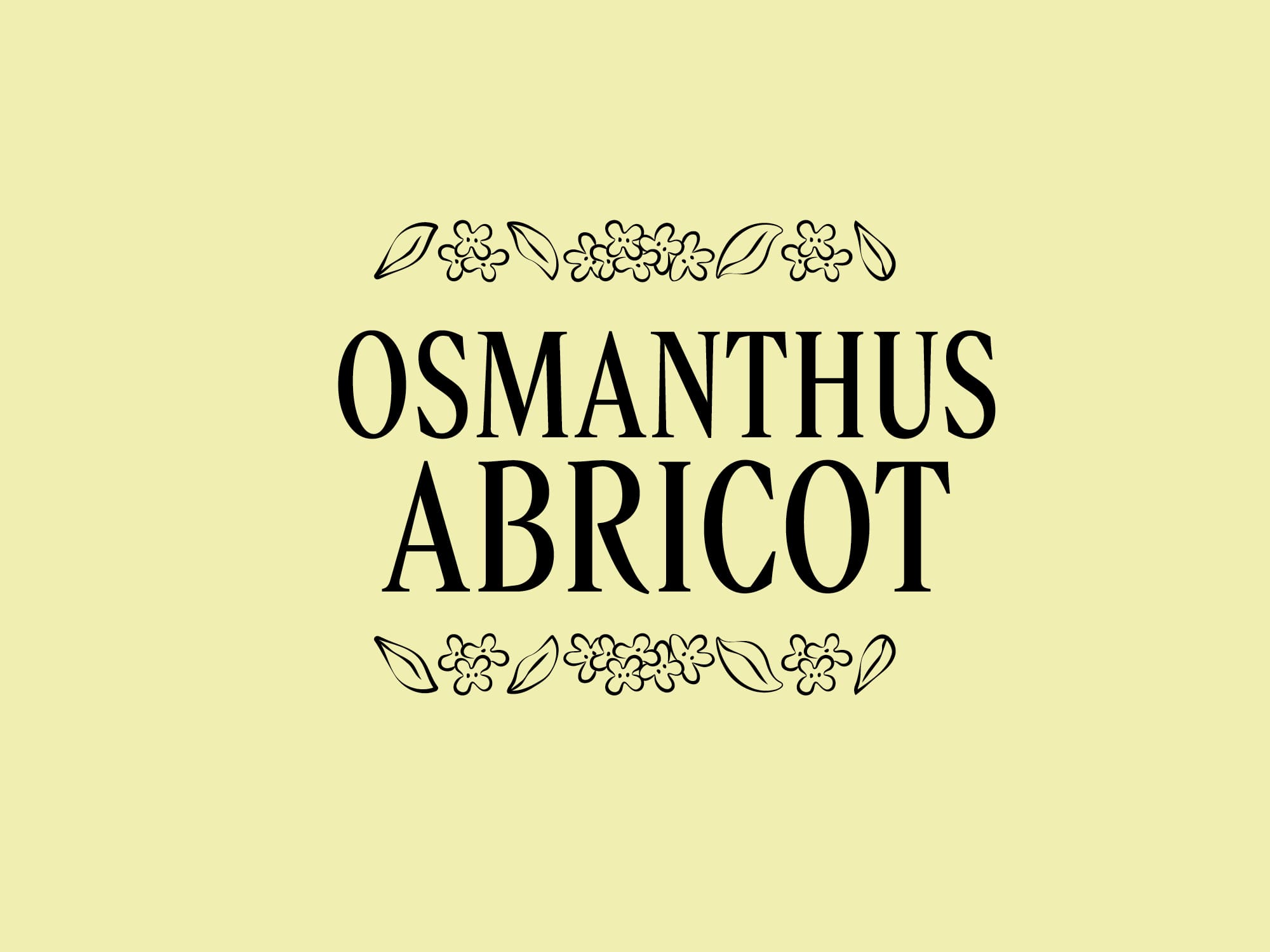 rebranding-l-occitane-ornement-parfums-ichetkar-2023-10