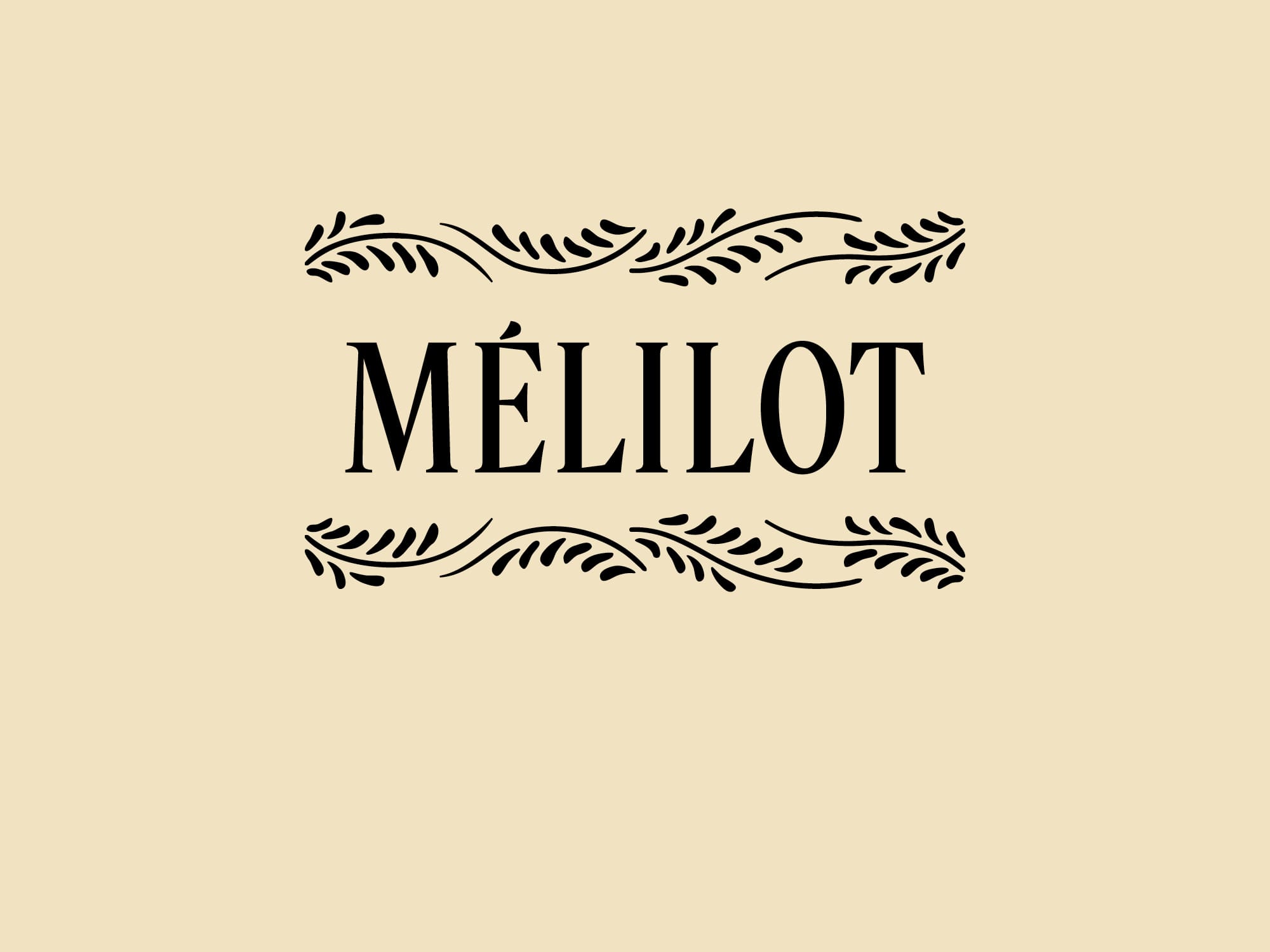 rebranding-l-occitane-ornement-parfums-ichetkar-2023-14