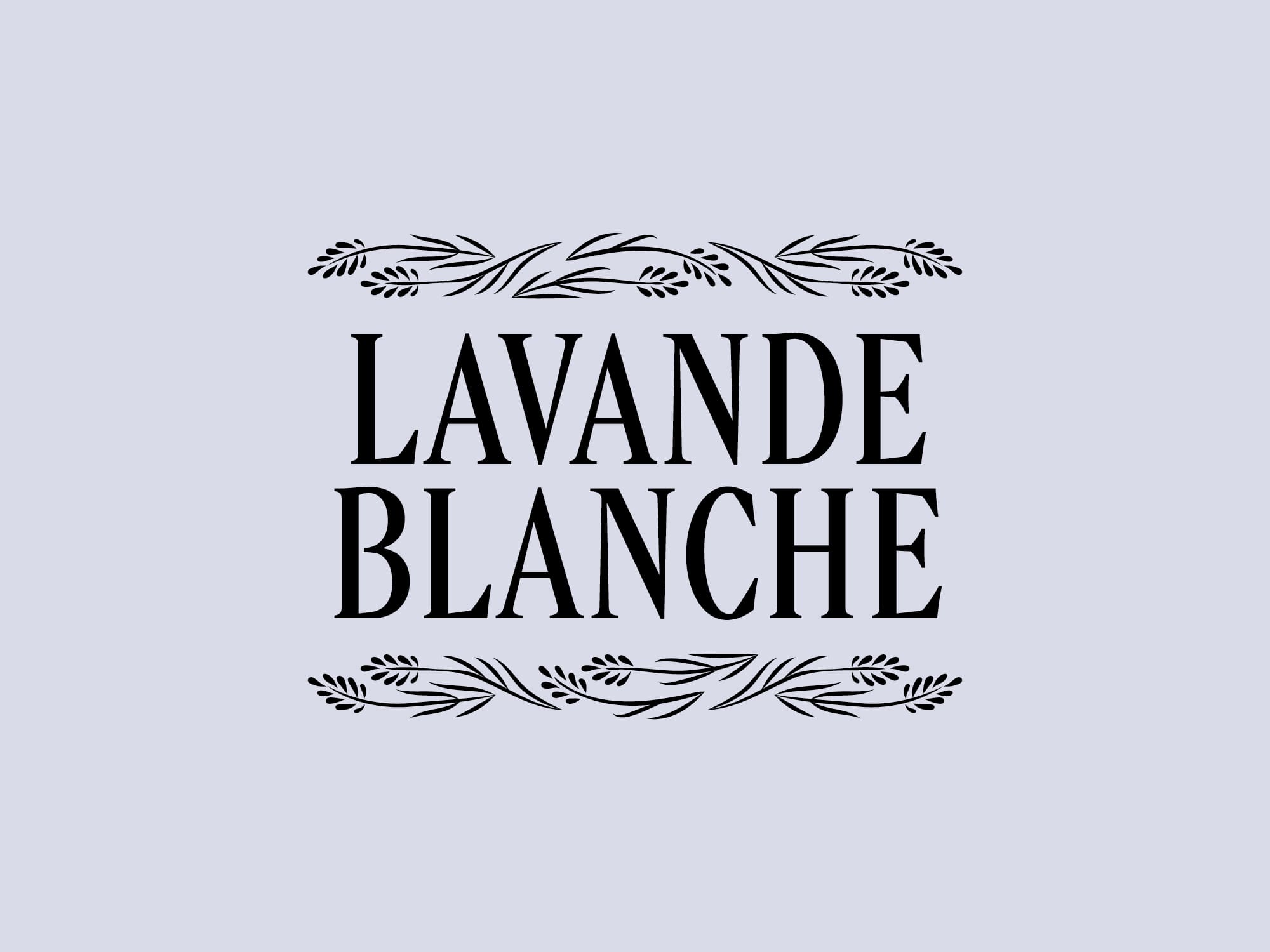 rebranding-l-occitane-ornement-parfums-ichetkar-2023-22