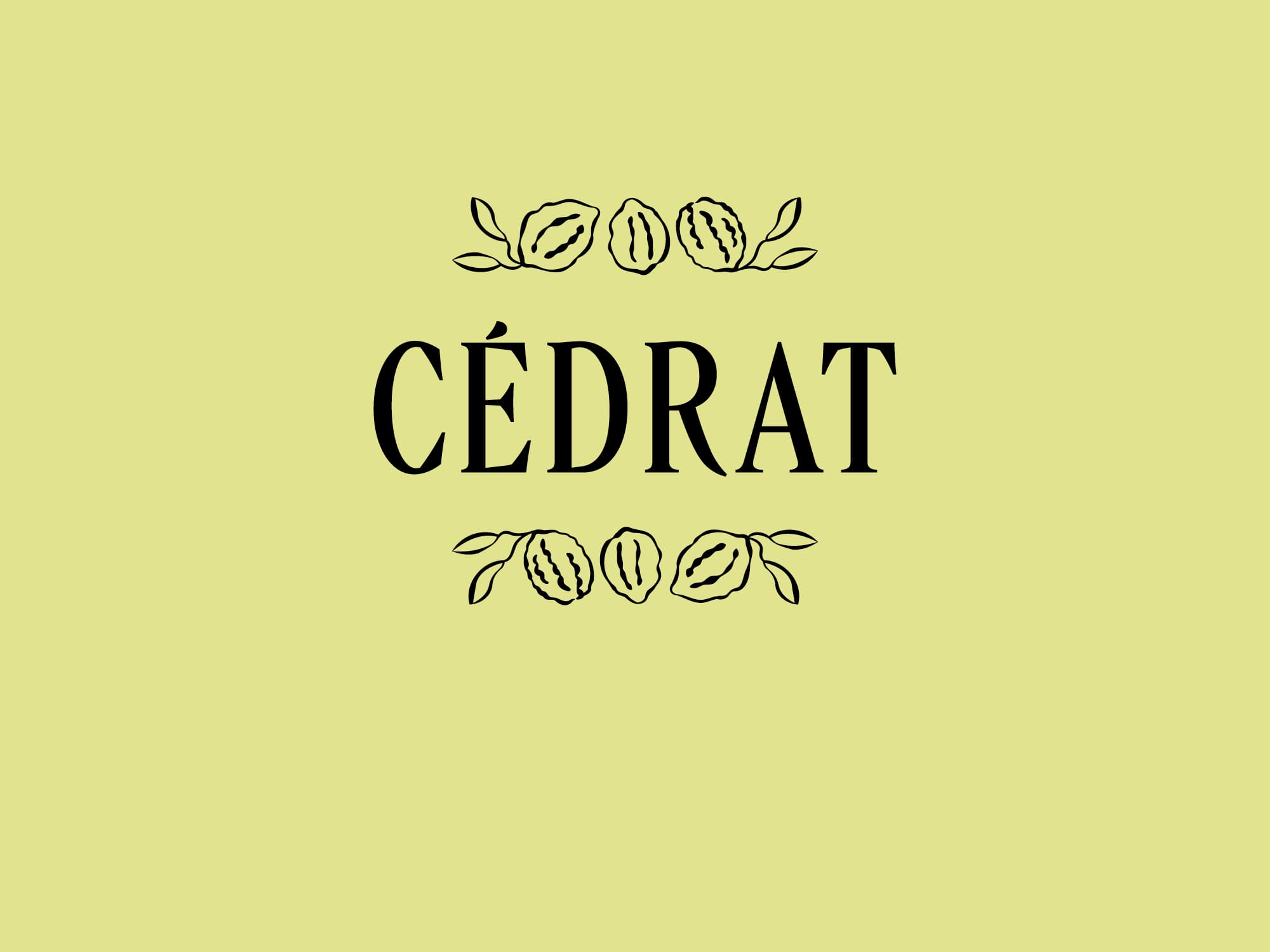 rebranding-l-occitane-ornement-parfums-ichetkar-2023-30