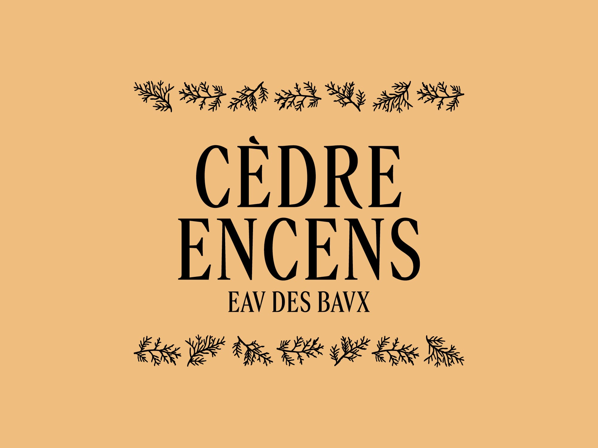 rebranding-l-occitane-ornement-parfums-ichetkar-2023-32