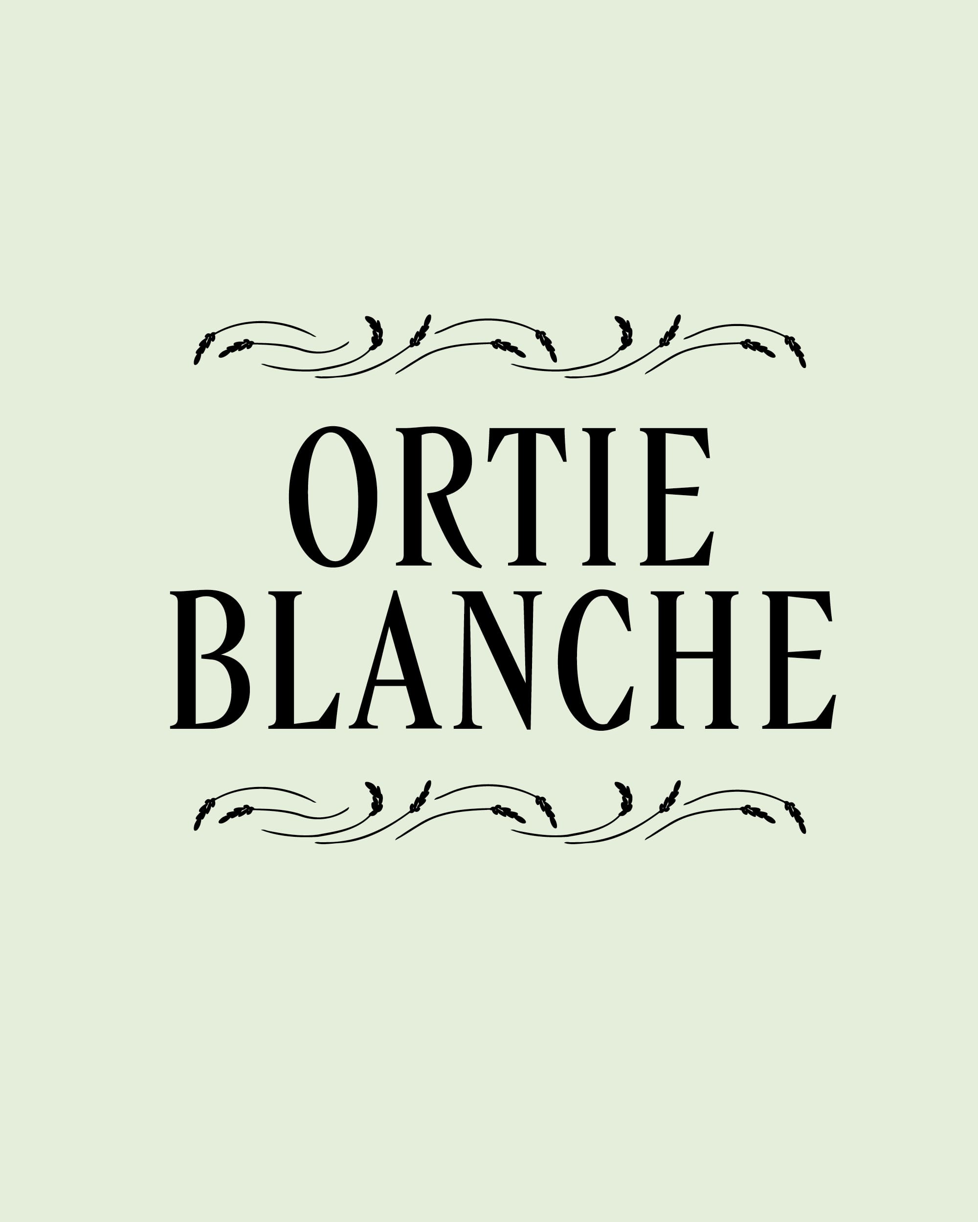 rebranding-l-occitane-ichetkar-2023-4:5-5