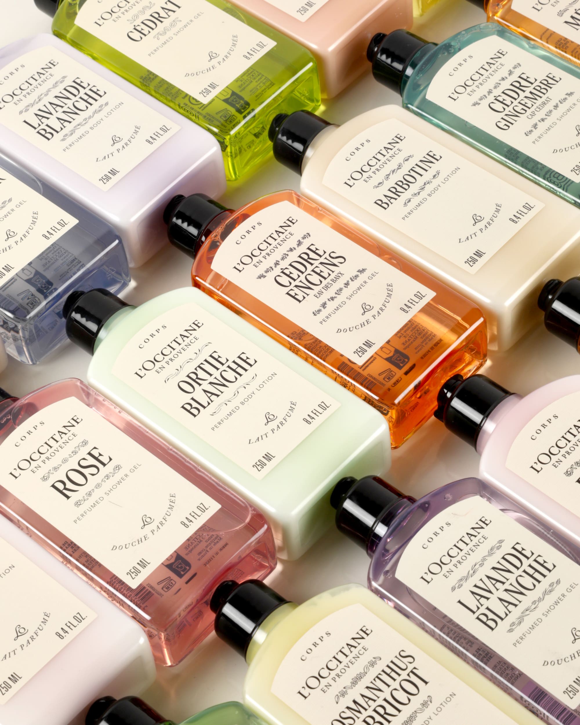 rebranding-l-occitane-ichetkar-2023-4:5-6