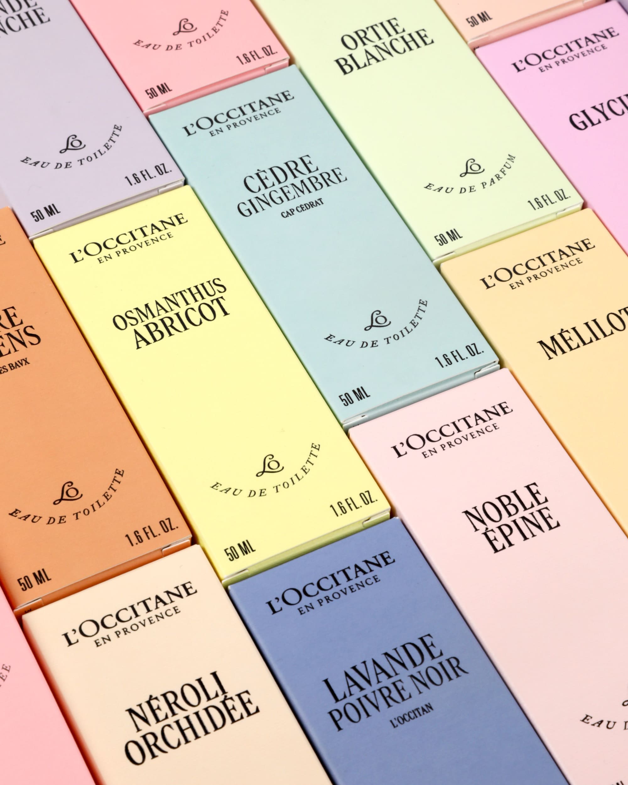 rebranding-l-occitane-ichetkar-2023-4:5-8