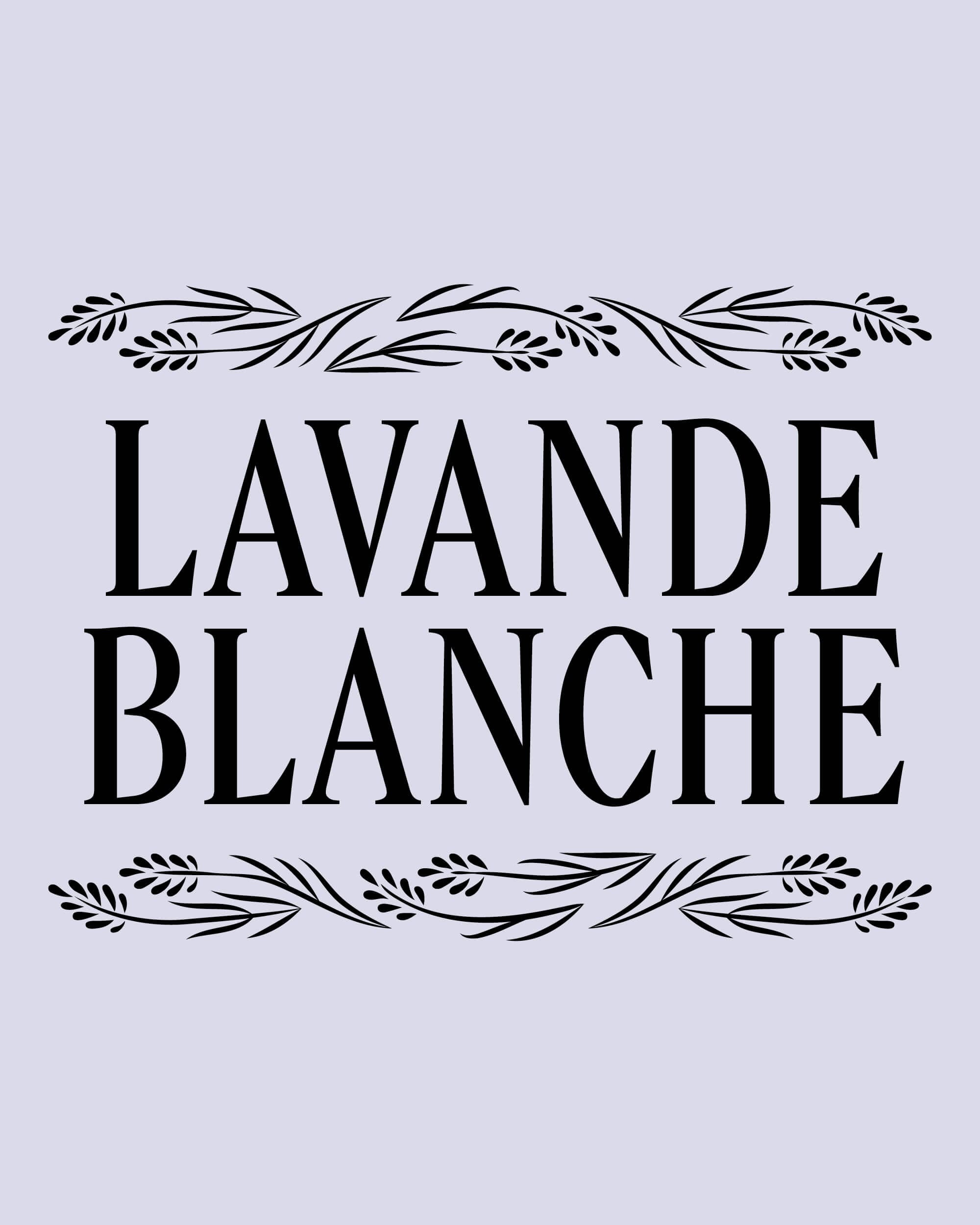 rebranding-l-occitane-ornement-ingredients-4-5-15