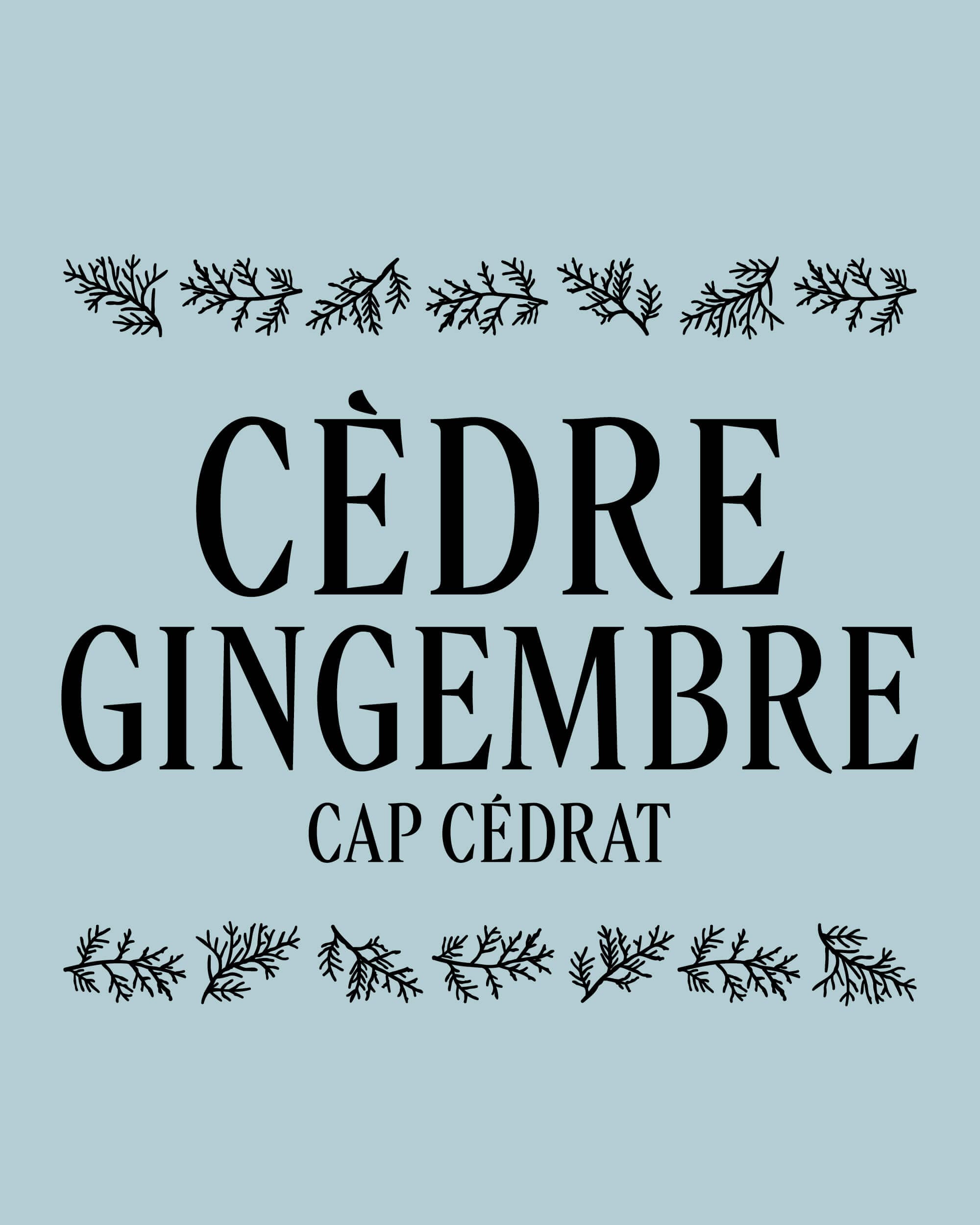 rebranding-l-occitane-ornement-ingredients-4-5-17