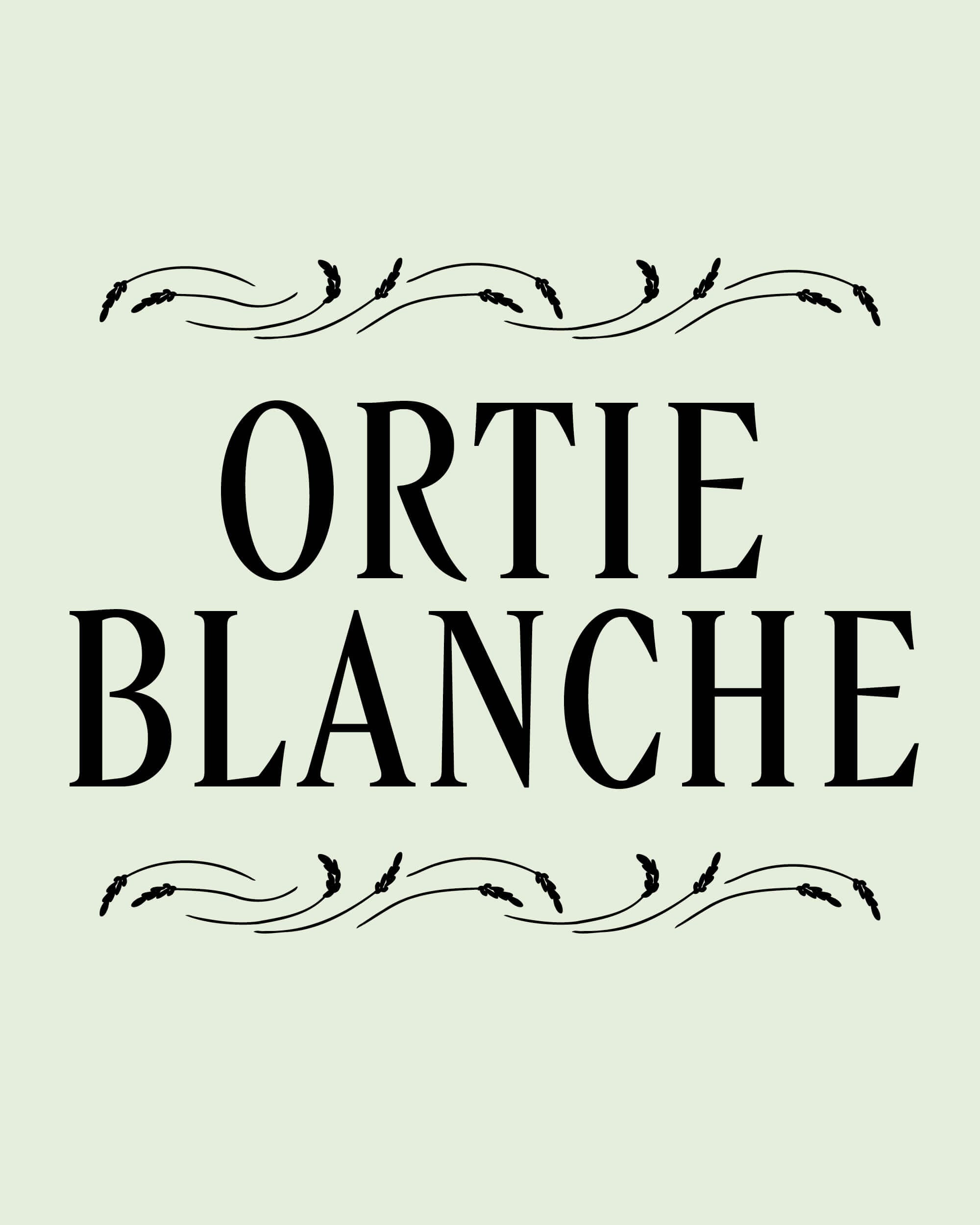 rebranding-l-occitane-ornement-ingredients-4-5-18