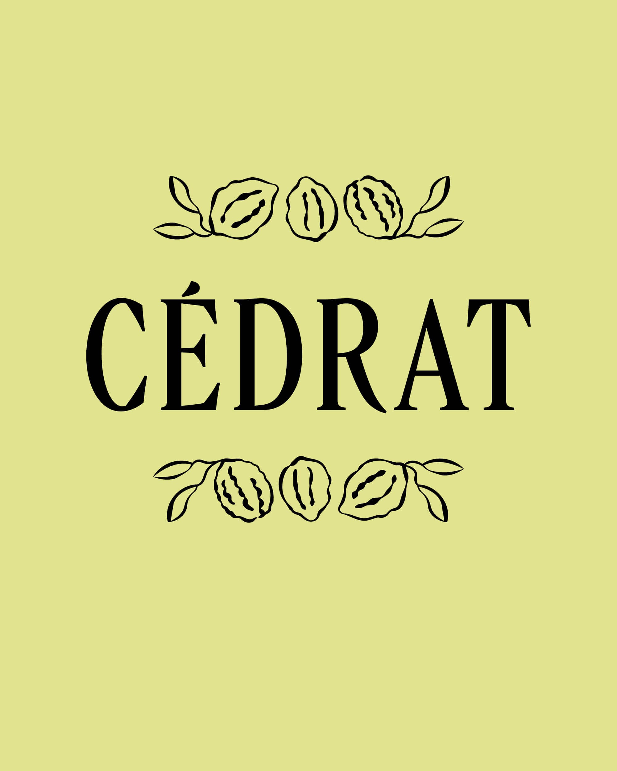 rebranding-l-occitane-ornement-ingredients-4-5-19