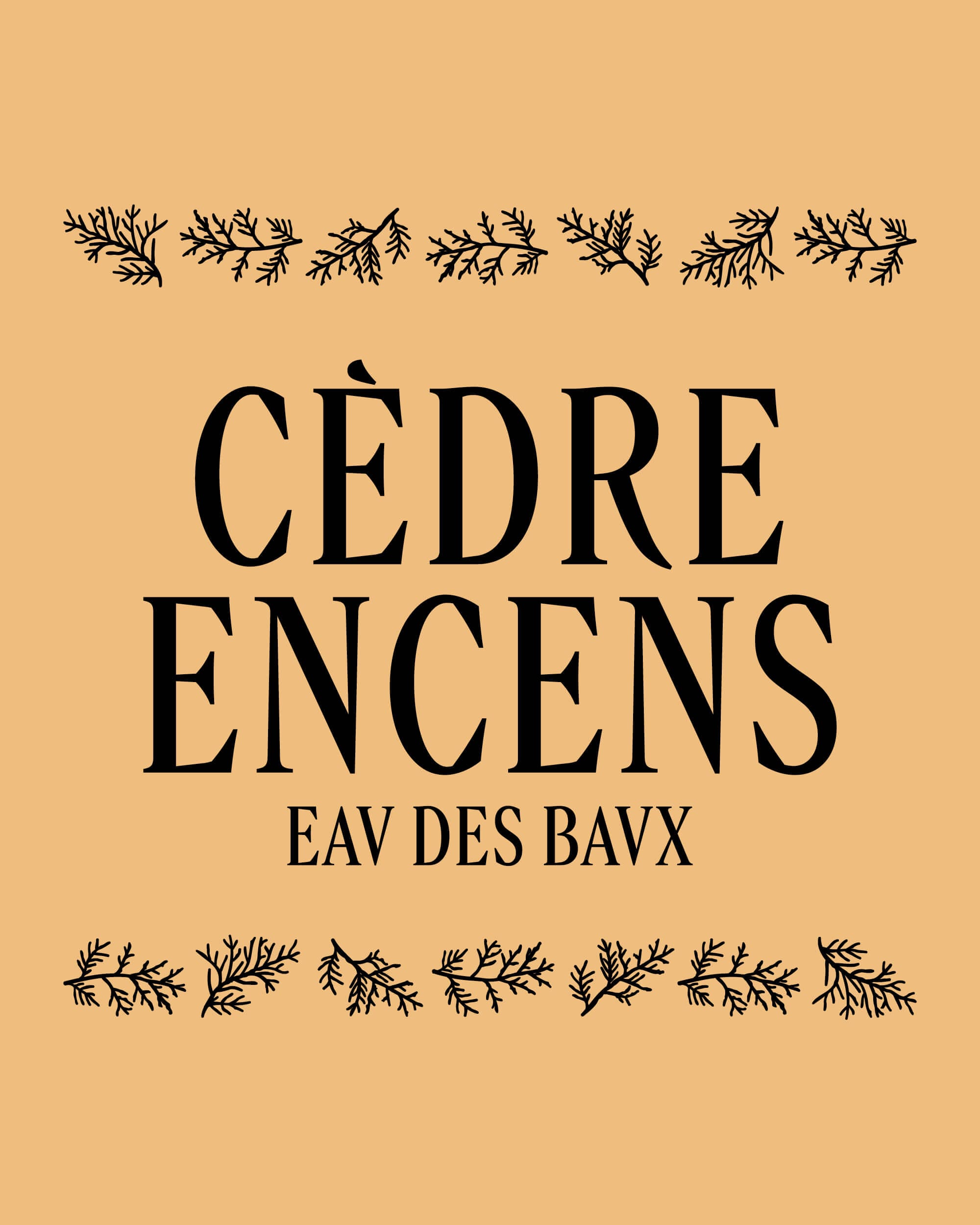 rebranding-l-occitane-ornement-ingredients-4-5-20