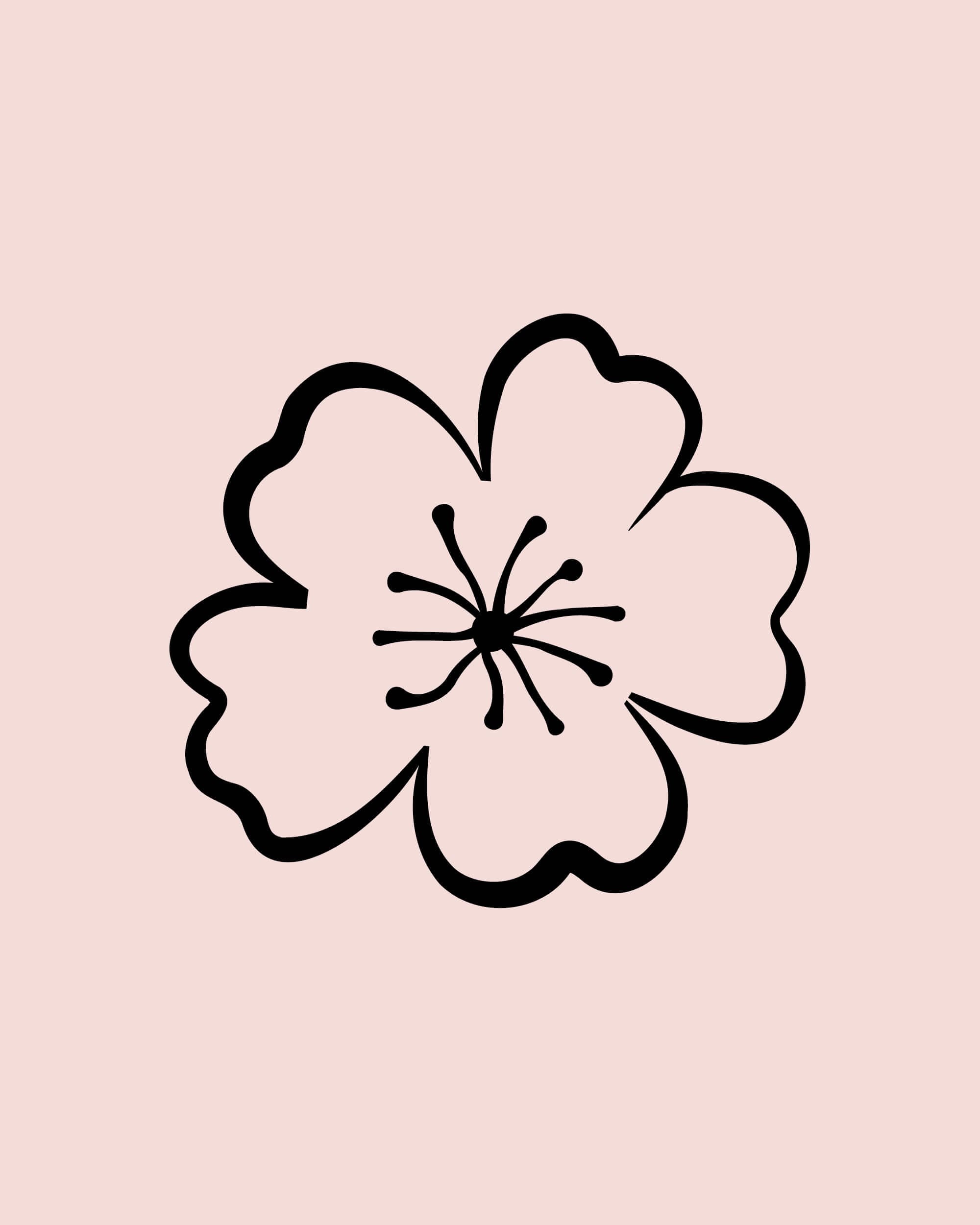 rebranding-l-occitane-ornement-ingredients-4-5-21