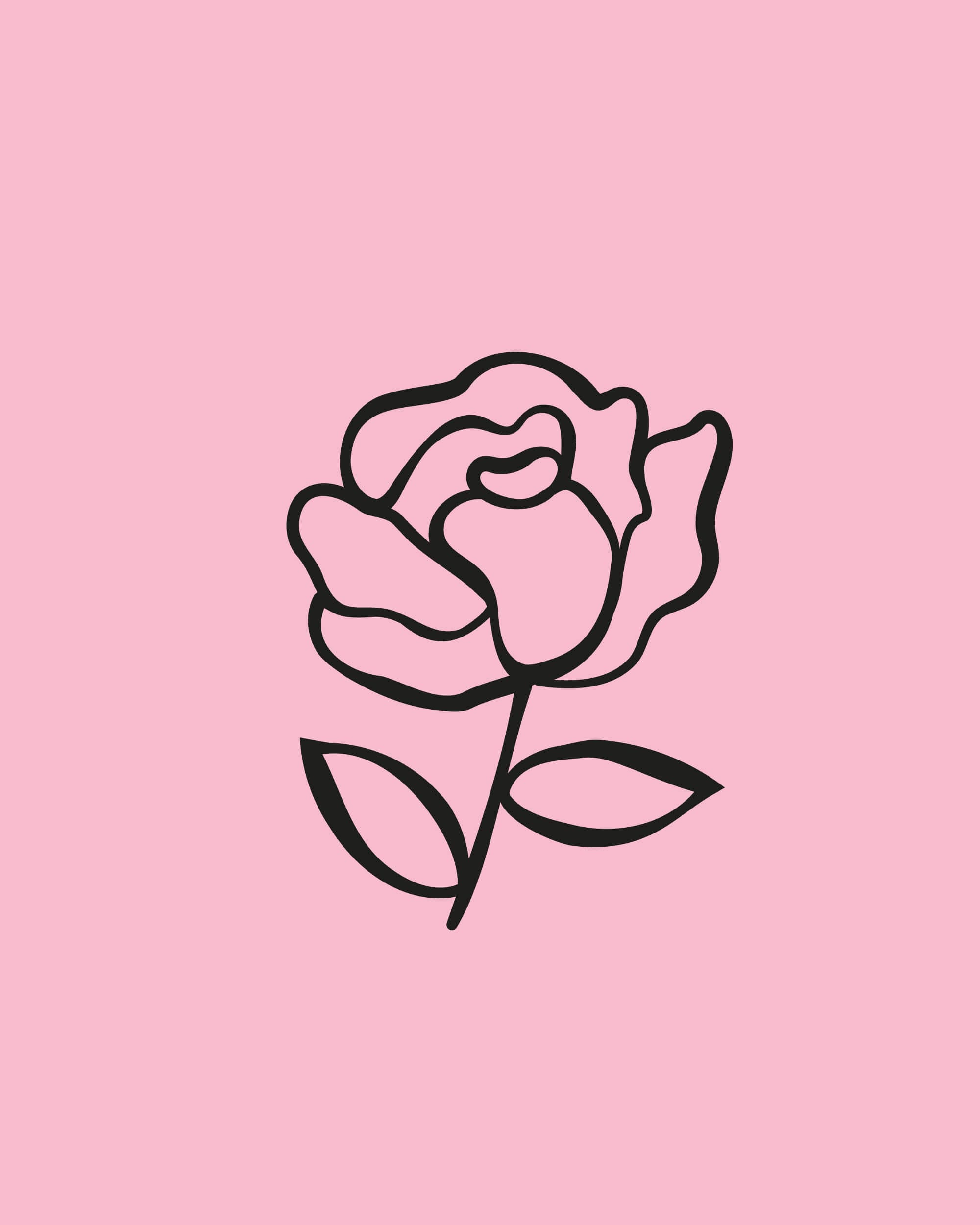 rebranding-l-occitane-ornement-ingredients-4-5-23