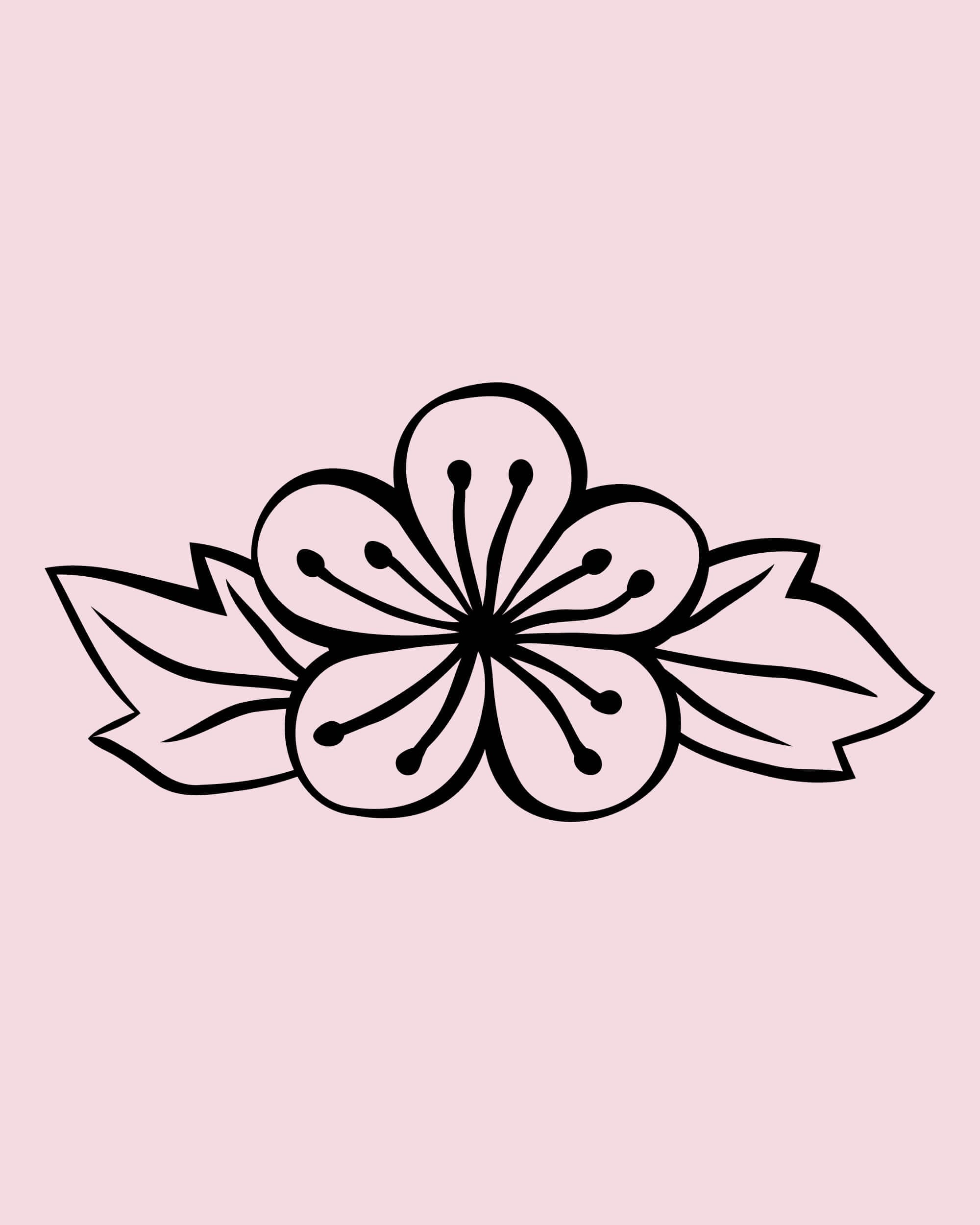 rebranding-l-occitane-ornement-ingredients-4-5-24