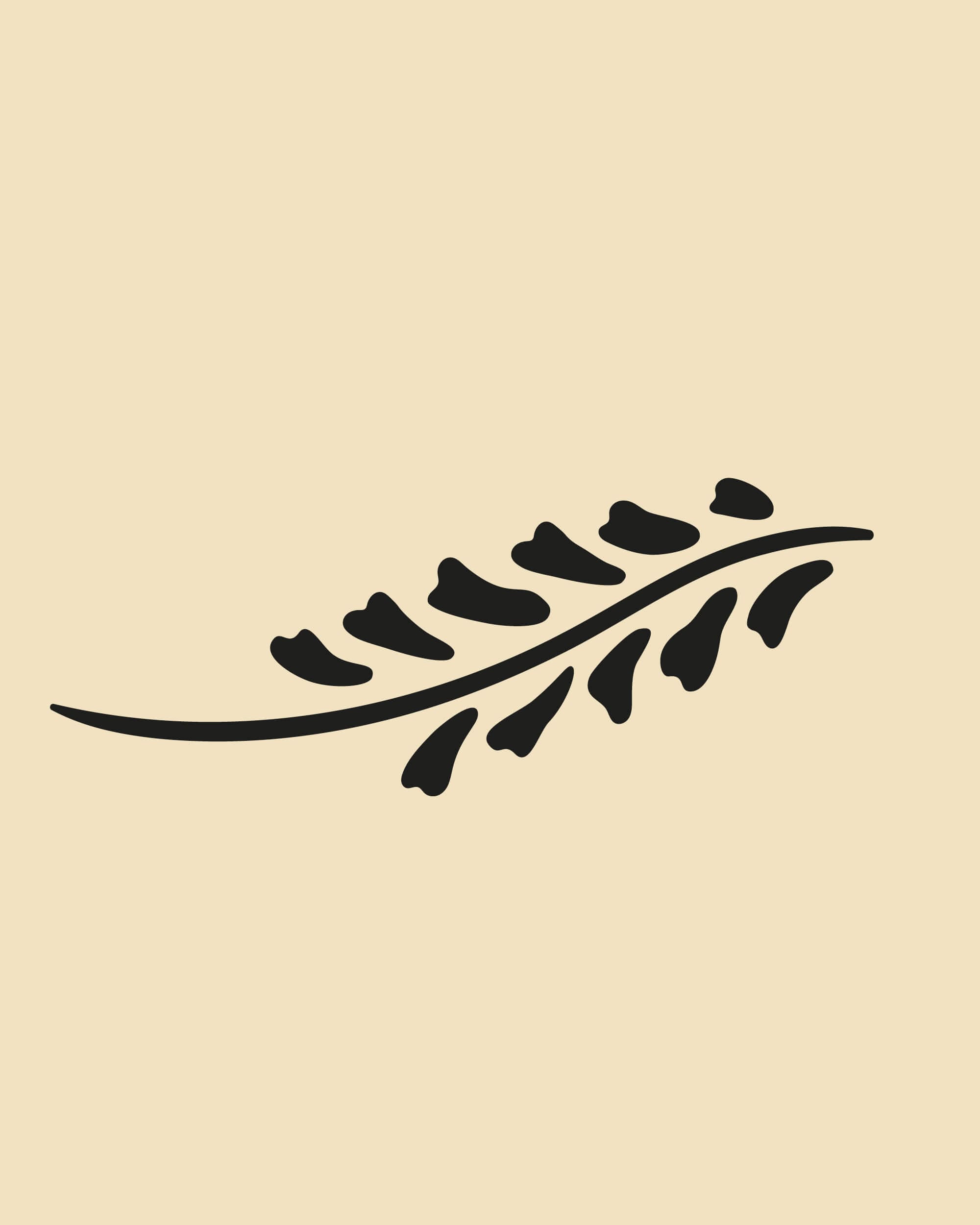 rebranding-l-occitane-ornement-ingredients-4-5-27