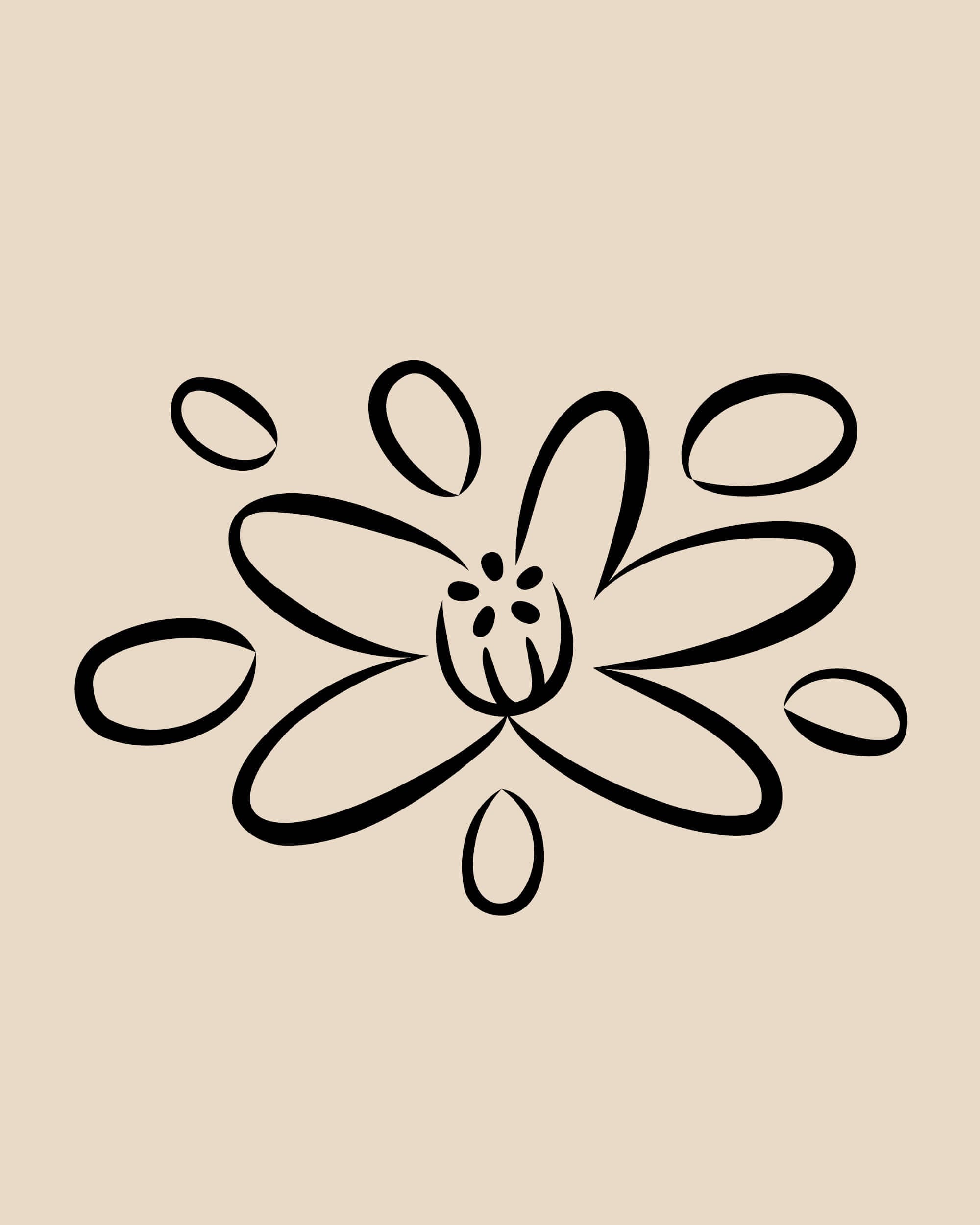 rebranding-l-occitane-ornement-ingredients-4-5-28