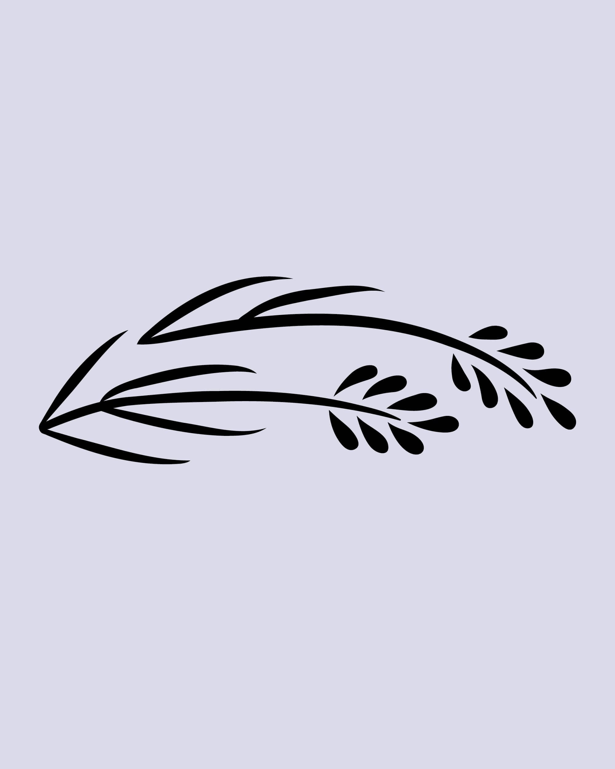 rebranding-l-occitane-ornement-ingredients-4-5-31