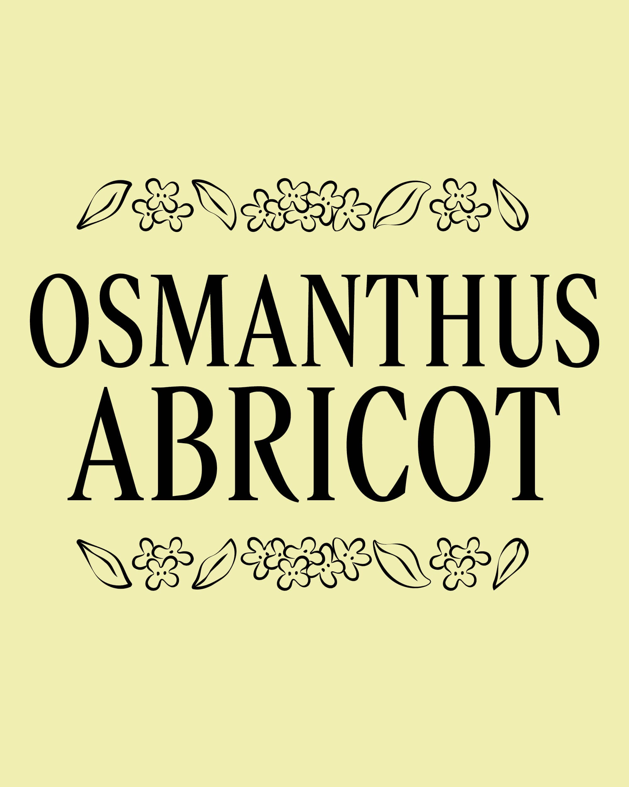 rebranding-l-occitane-ornement-ingredients-4-5-9